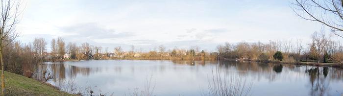 Plan d'eau aux abords de Lingolsheim