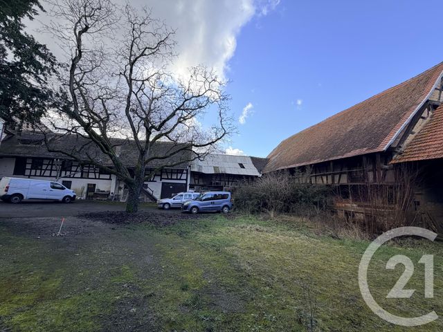 maison à vendre - 10 pièces - 650.0 m2 - LINGOLSHEIM - 67 - ALSACE - Century 21 Les Victoires