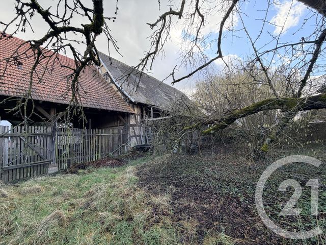 maison à vendre - 10 pièces - 650.0 m2 - LINGOLSHEIM - 67 - ALSACE - Century 21 Les Victoires