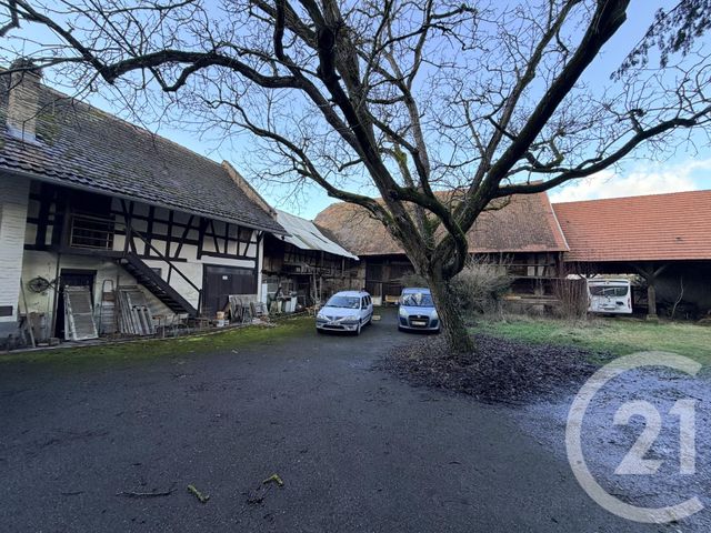 maison - LINGOLSHEIM - 67