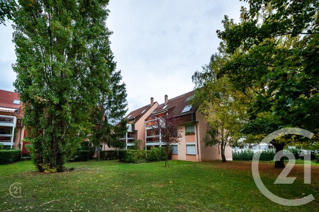 Appartement F5 à louer - 5 pièces - 102.04 m2 - LINGOLSHEIM - 67 - ALSACE - Century 21 Les Victoires